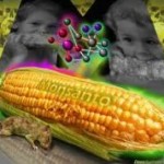 Zabójczy preparat Monsanto?