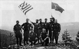 greek_volunteers