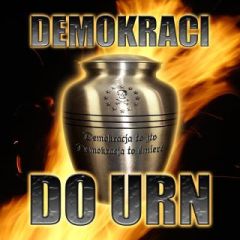 demokraci do urn