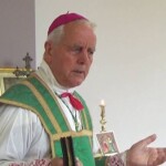 Bp Richard Williamson: Rozbić na kawałki błąd modernizmu