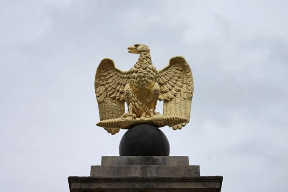 aquila-imperiale-Fontainebleau