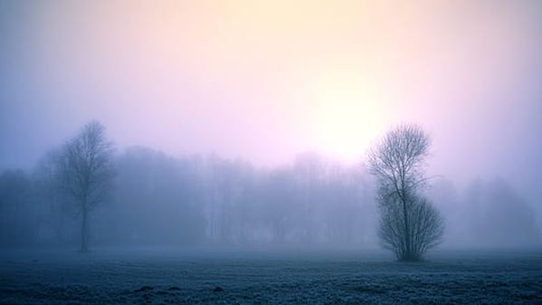 fog-nature-dawn-winter-thumb